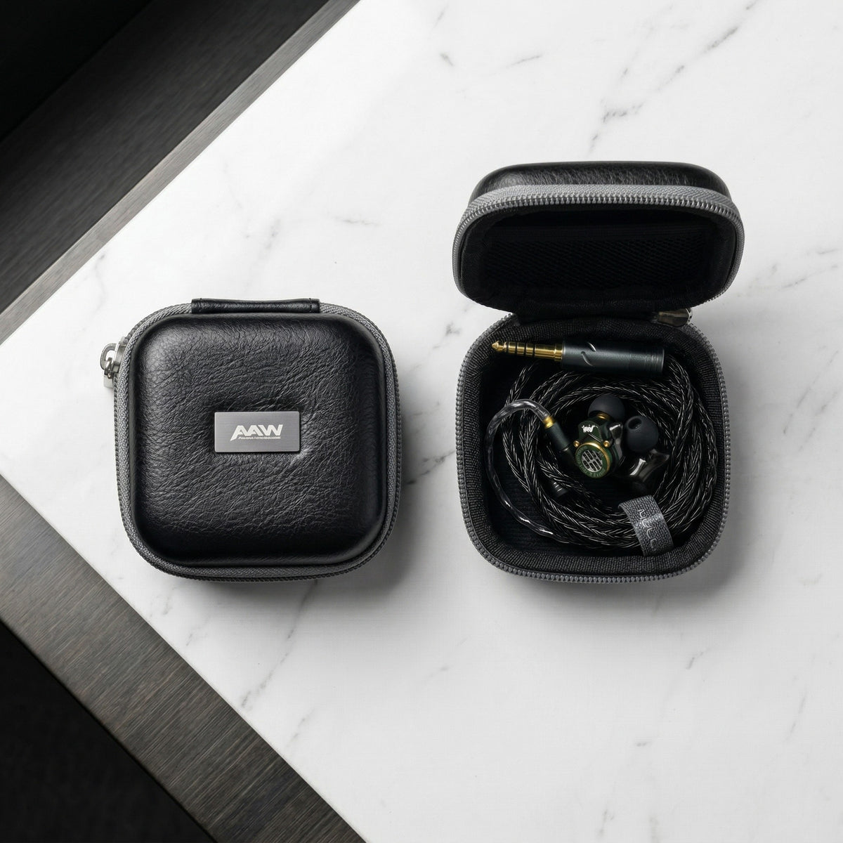 AAW Z07 carry case and included monitor kit